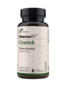 Czystek 4:1 250mg 90kaps. suplement diety (K786)