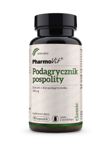 Podagrycznik pospolity Ekstrakt z liści podagrycznika 450 mg 90 kaps suplement diety (K441)
