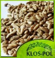 klospol_slonecznik_luskany_25kg_.jpg